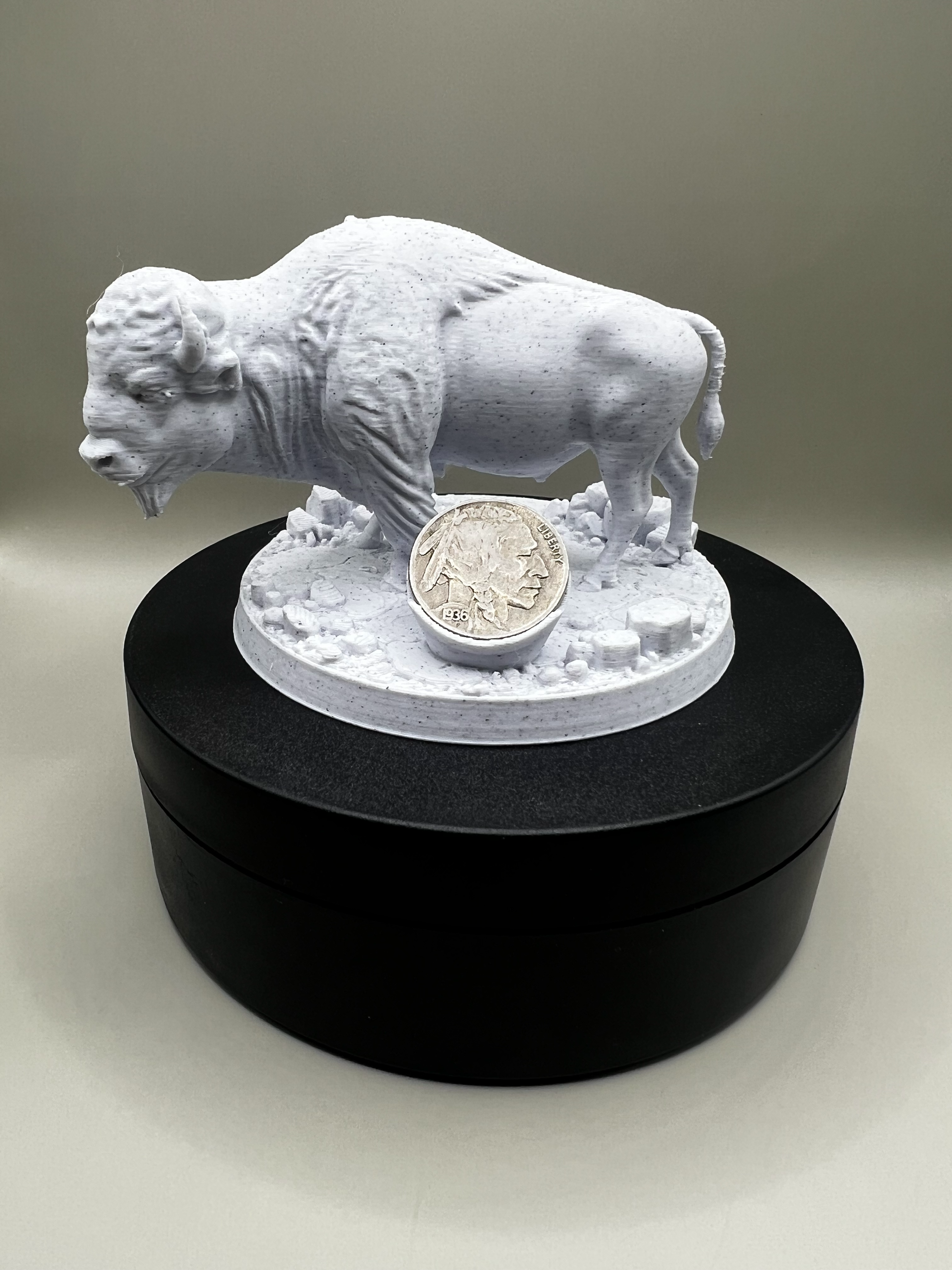 American Wildlife Heritage Coin Displays