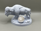 Buffalo Bison Display