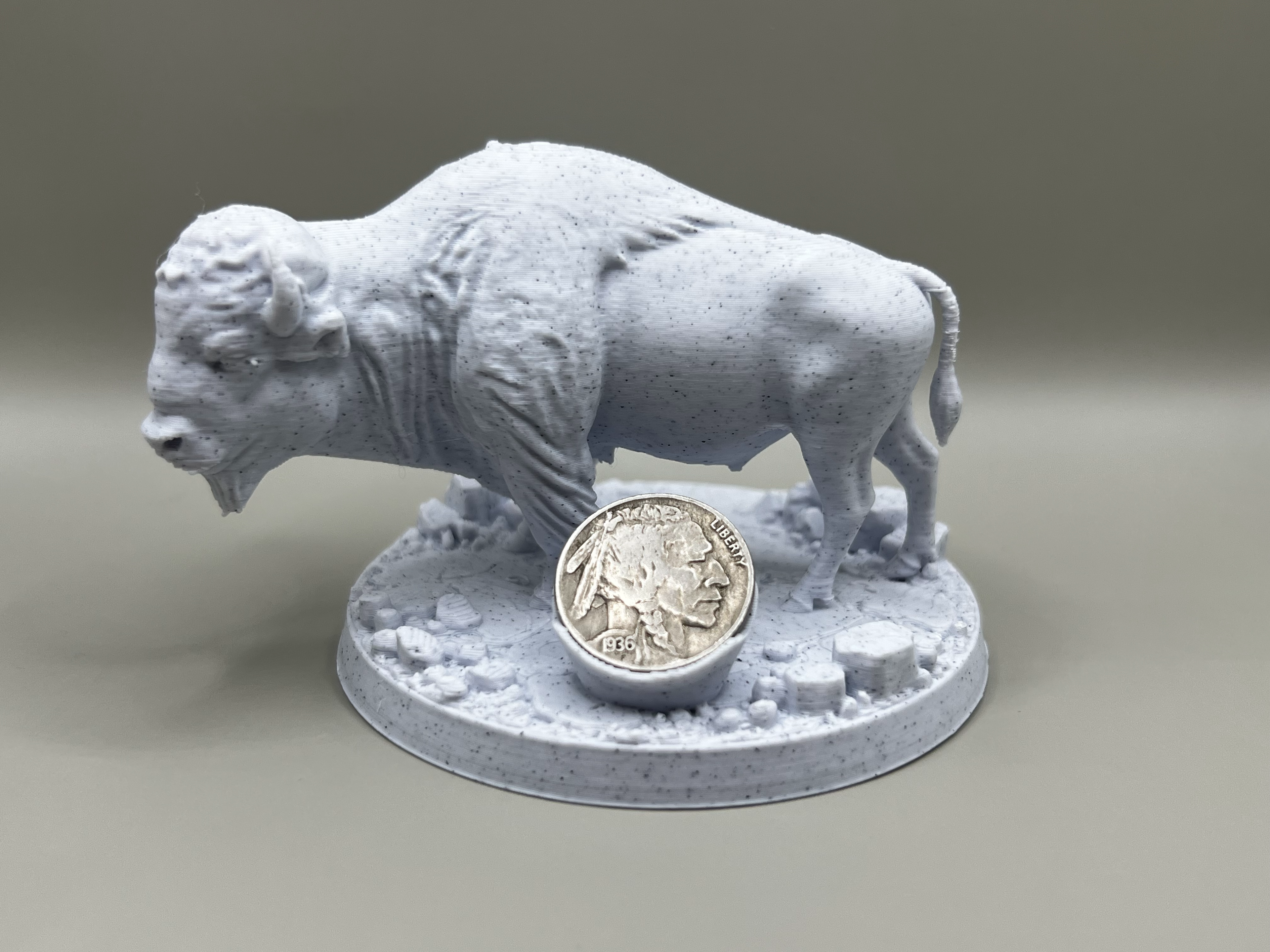 Buffalo Bison Display