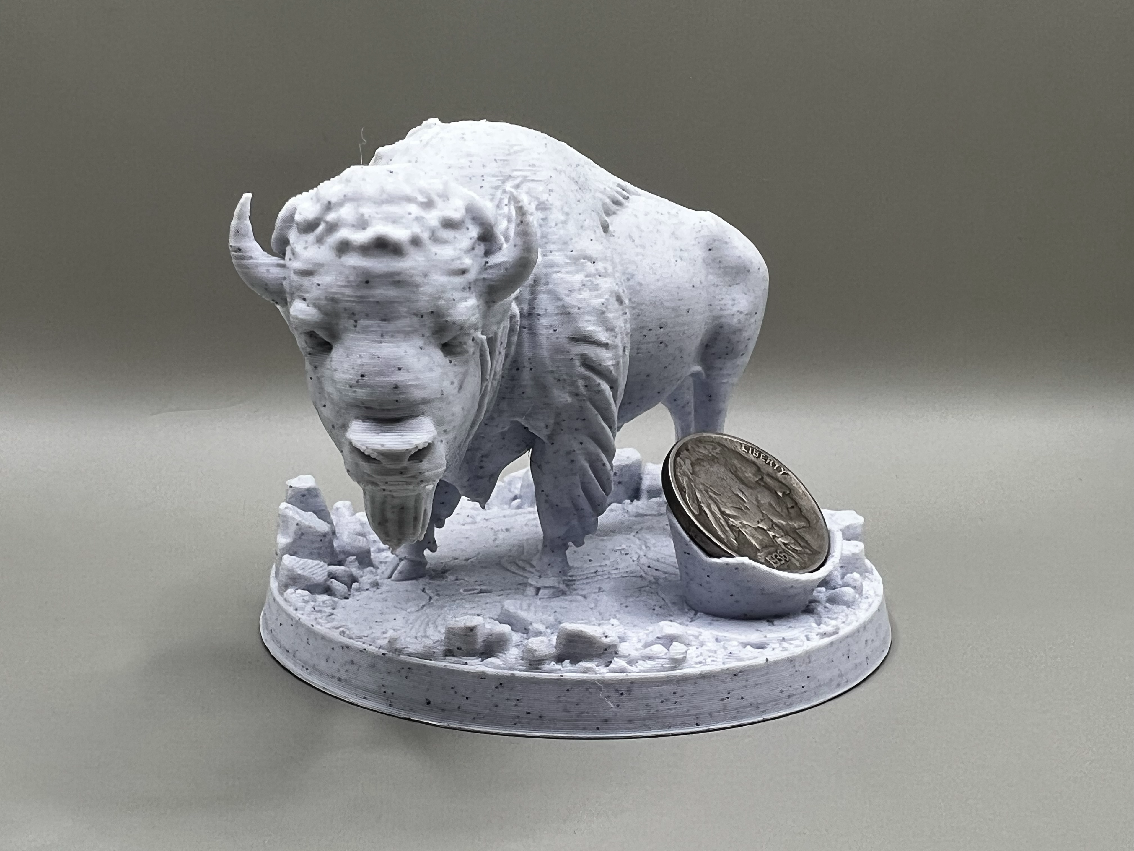 Buffalo Bison Display