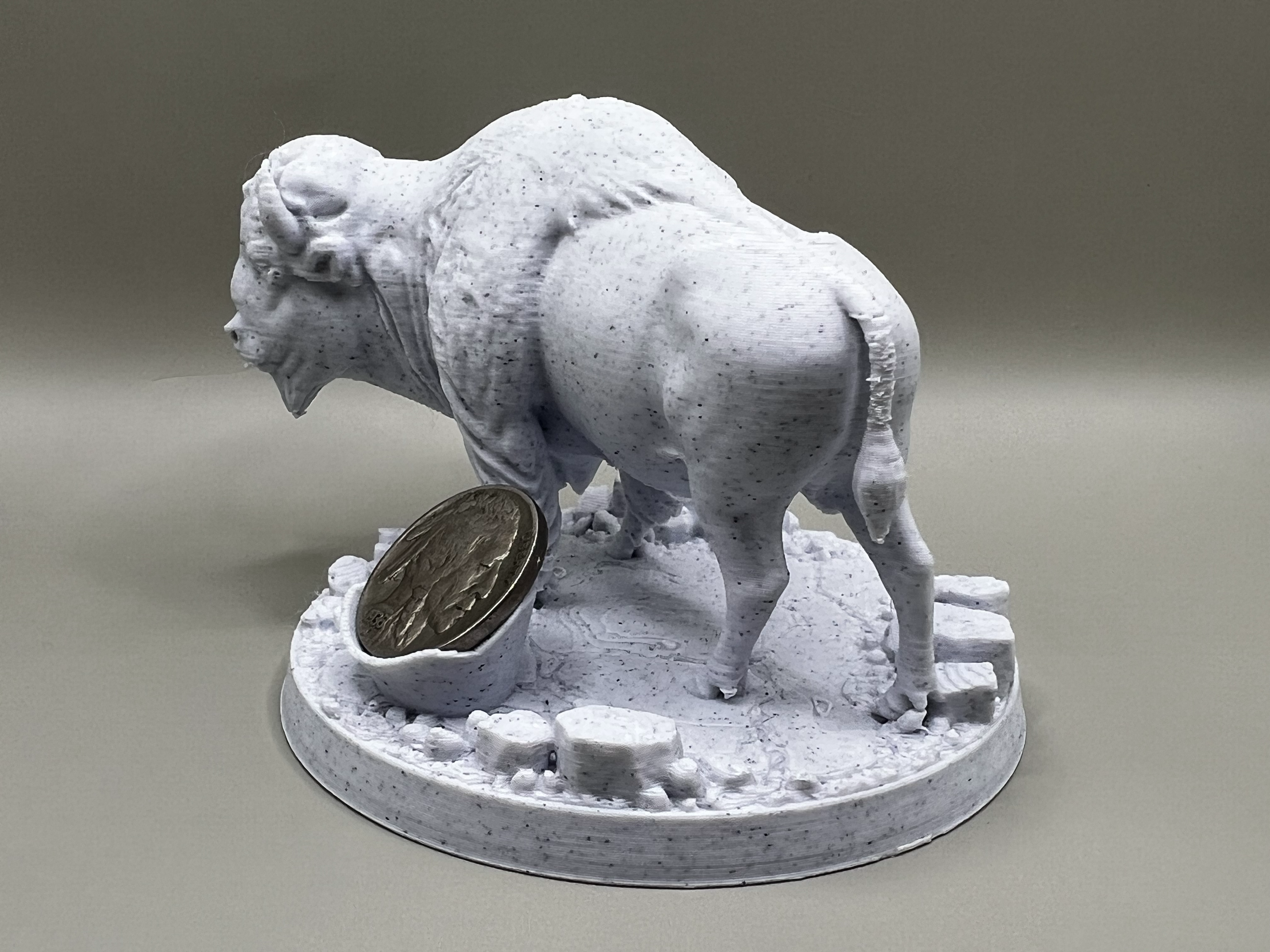 Buffalo Bison Display