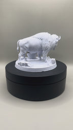 Buffalo Bison Display